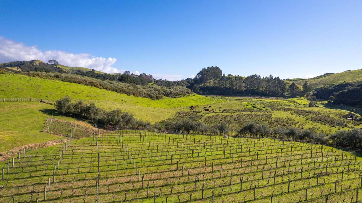 Lot 1, 4, and 9 Mahinepua Road_3