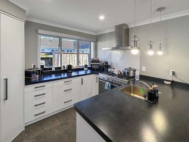 528a Featherston Street Roslyn_1