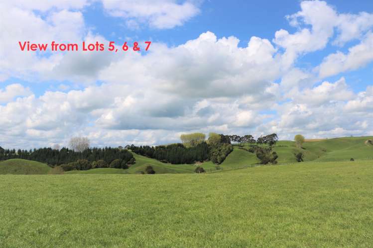 381 Lake Arapuni Road Arapuni_4