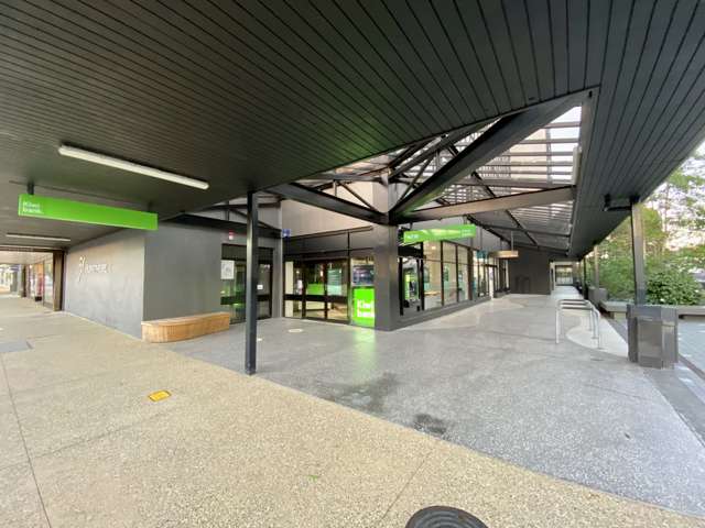 51 Hurstmere Road Takapuna_2