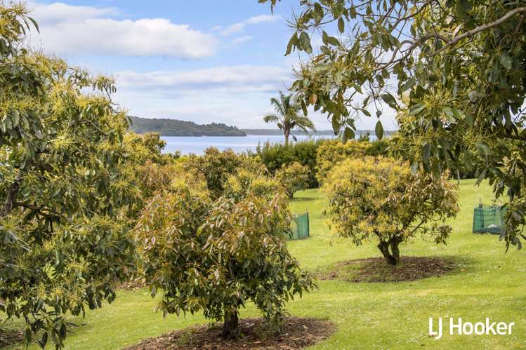 117 Athenree Road Athenree_22