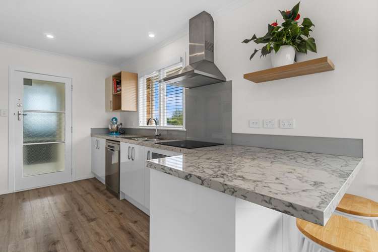 34 Whitaker Street Kihikihi_7