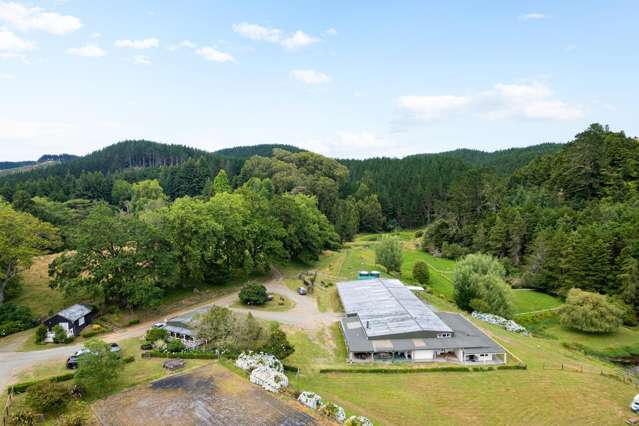 5908 Highway 22 Waingaro_2