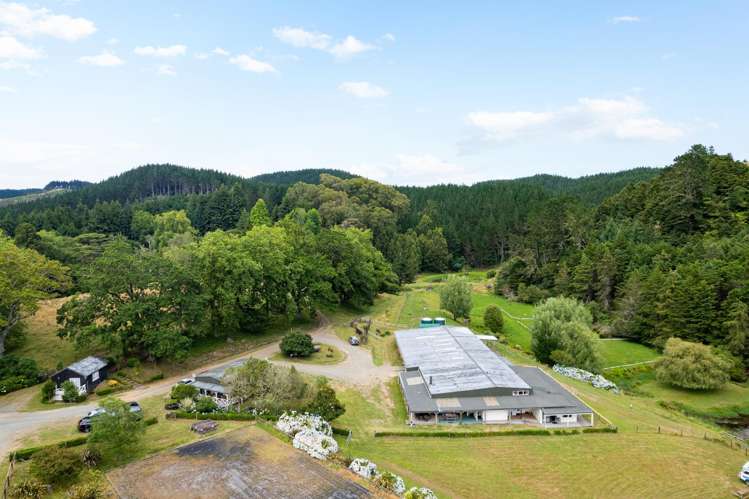 5908 Highway 22 Waingaro_2