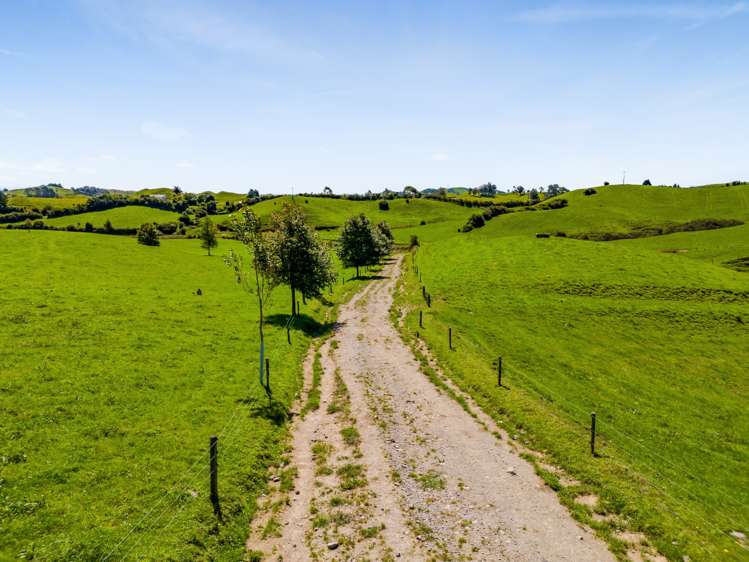 137 Ratapiko Road Ratapiko_19