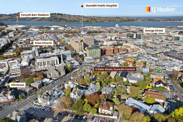 Blue Chip Real Estate, Premier Dunedin Location