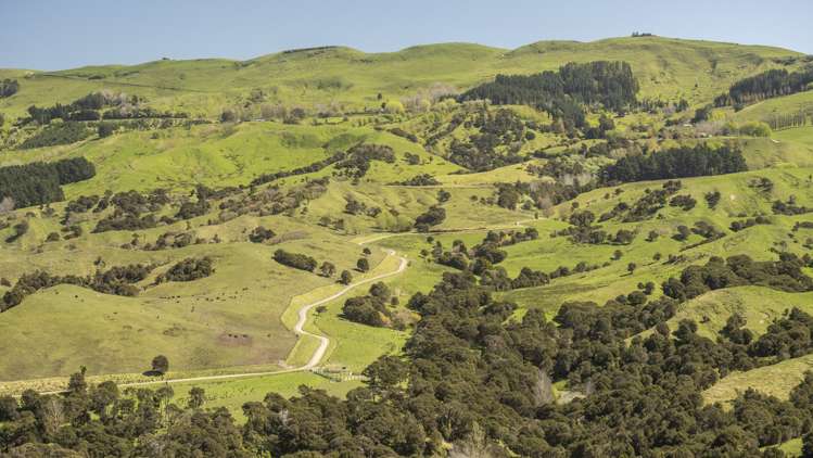 461 Admiral Station Road Gladstone_9