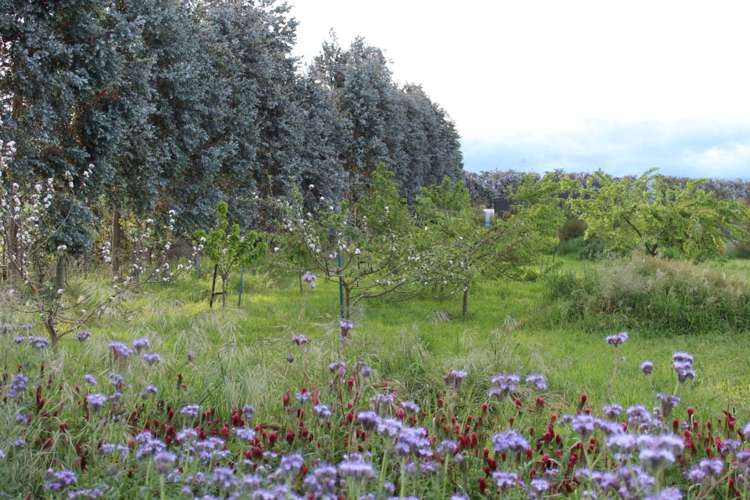 460 Gladstone Road Gladstone_11