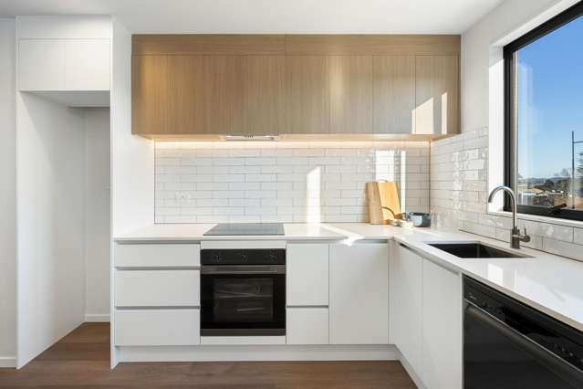 Lot 29/4 Scott Road Hobsonville_1