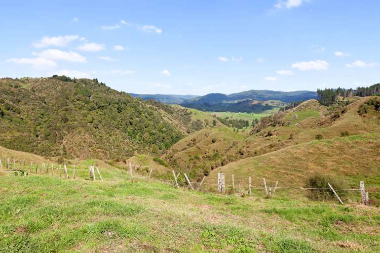 1155 Stanley Road Waimana_25