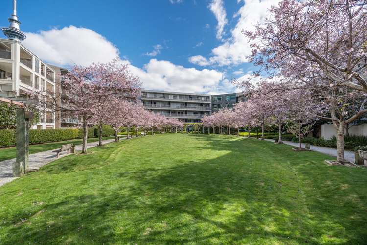 4h/16 Market Place Auckland Central_5