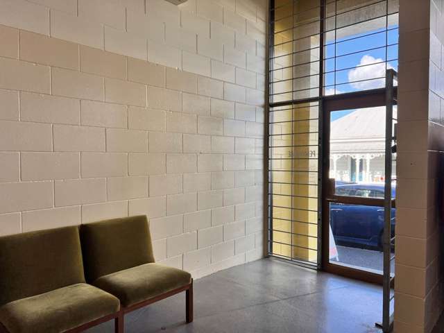 6 Kirk Street Grey Lynn_3