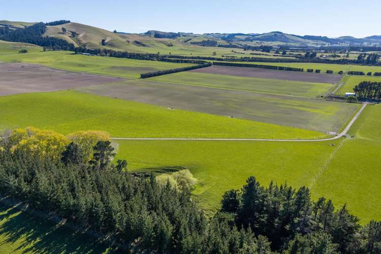 1492 Happy Valley Road Motunau_10