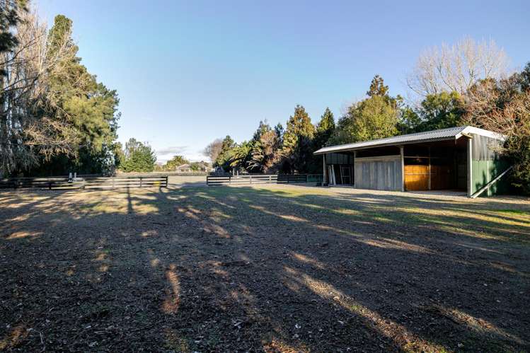 4A Cloverlea Road Westbrook_13