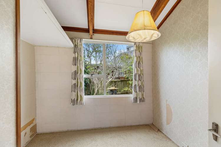 146 Mount View Road Bastia Hill_11