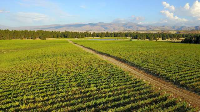 351 Maori Point Road Tarras_4