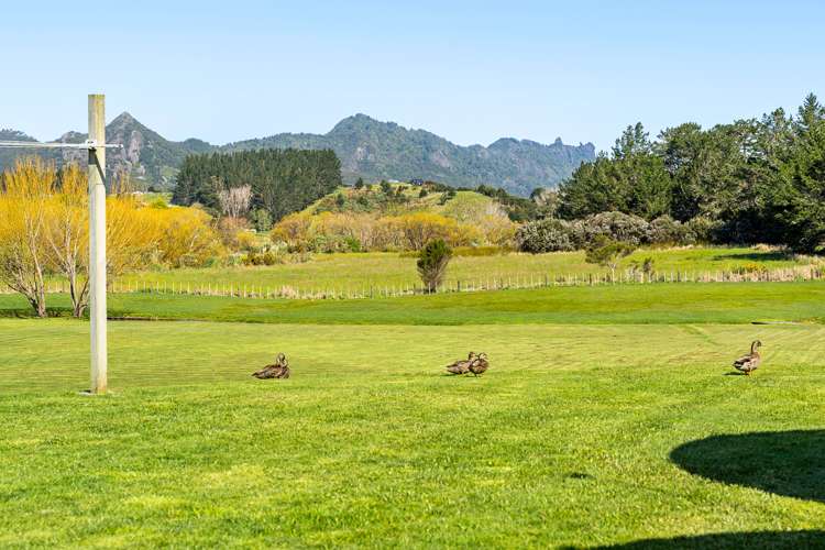 1519 Whangarei Heads Road Parua Bay_29