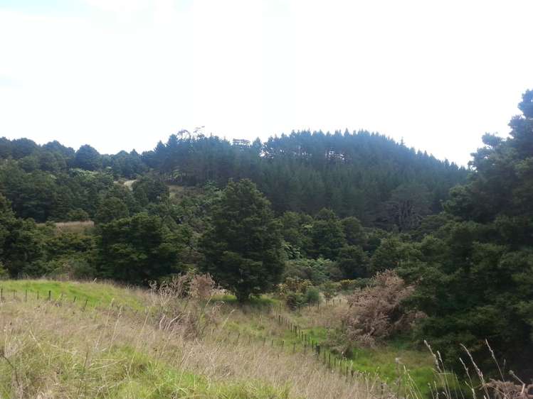 2568a Paparoa-Oakleigh Road Paparoa_11