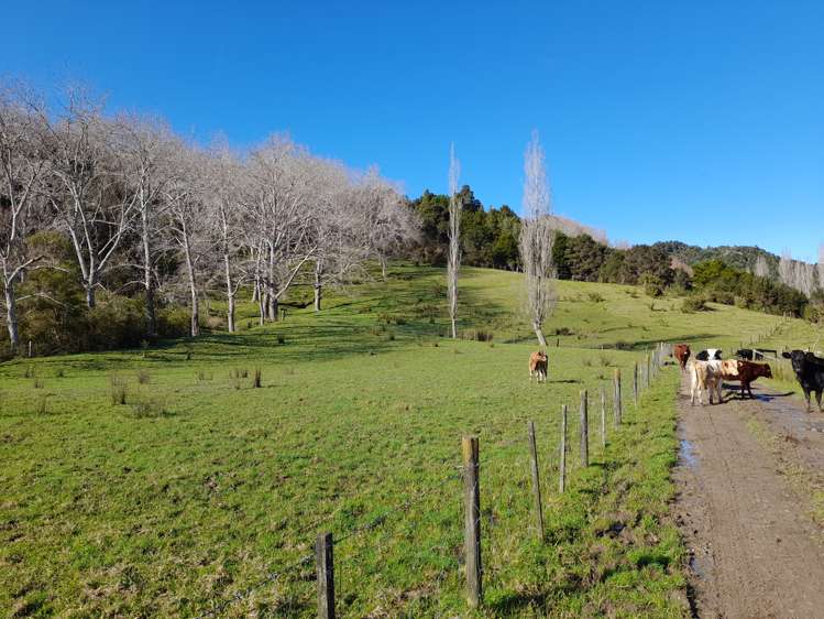 424 Paranui-Toatoa Road Taipa_19