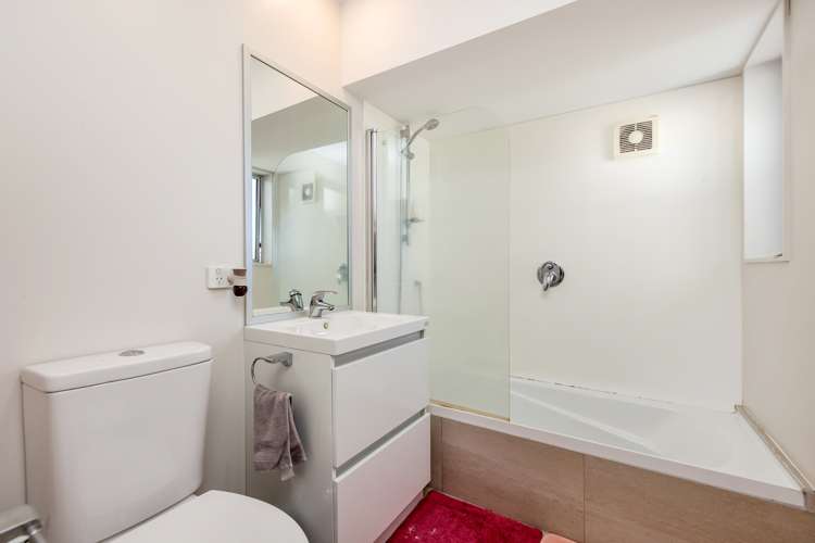 17 Tribute Loop Takanini_10