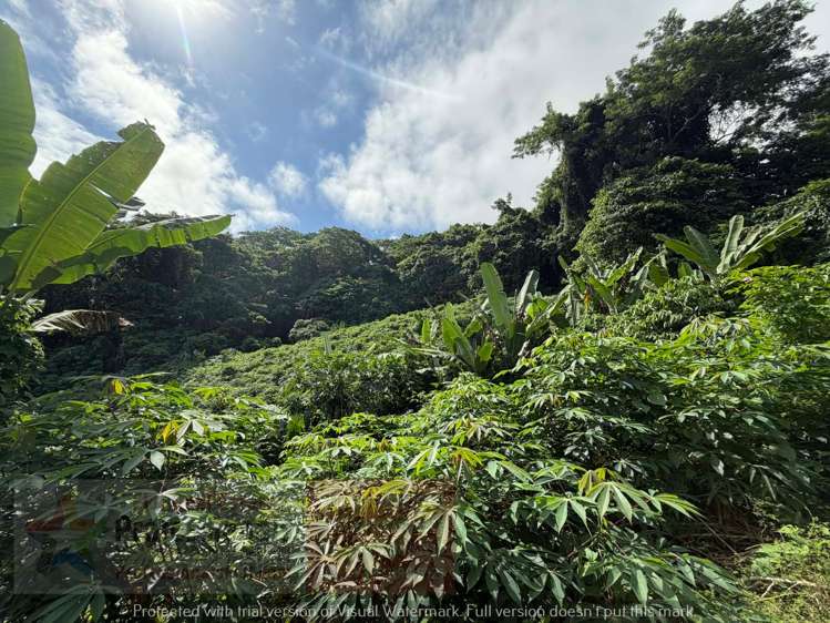Address withheld Savusavu_7