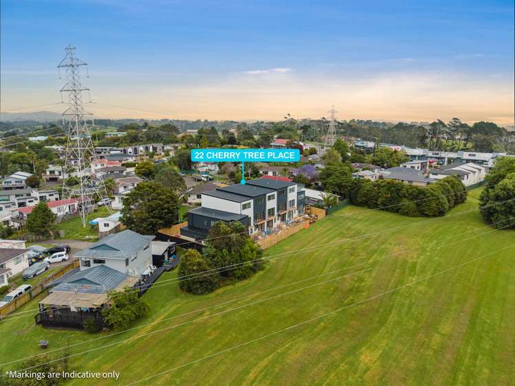 1/22 Cherry Tree Place Massey_7