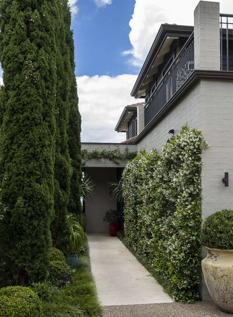 56b Arney Crescent Remuera_4