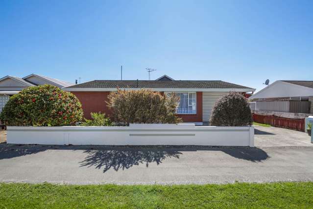 Little Cracker in Central Blenheim