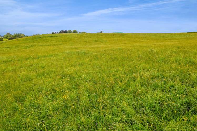 0n Turuturu Road, RD 14 Hawera_5