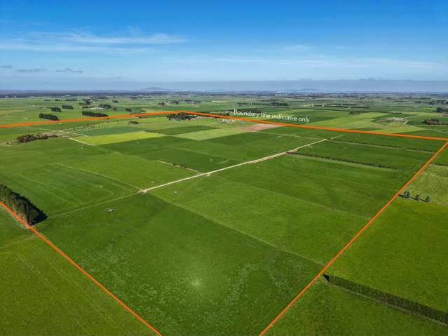 81 Tapper Road Mokotua_4