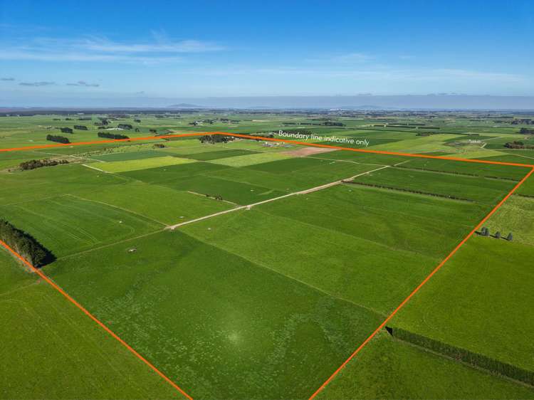 81 Tapper Road Mokotua_4