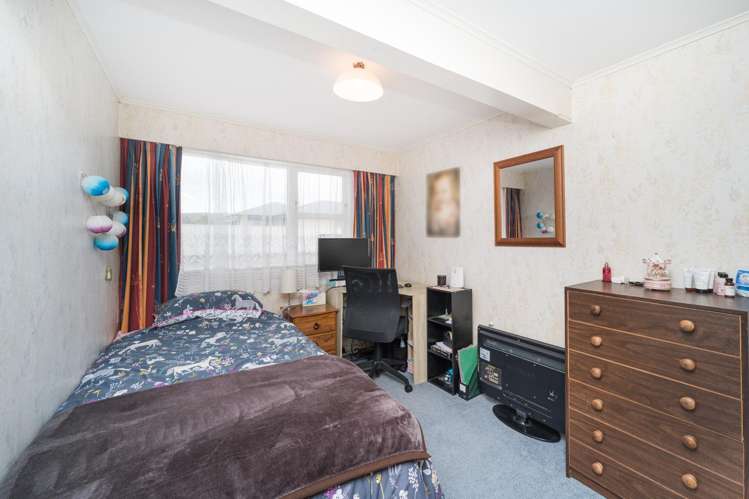 27 Haydon Street Roslyn_19