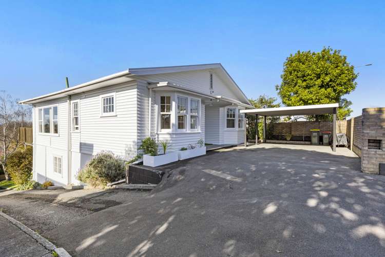 101 Pembroke Street Hamilton Lake_2