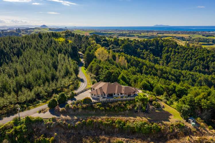 197 Reid Road Papamoa_0