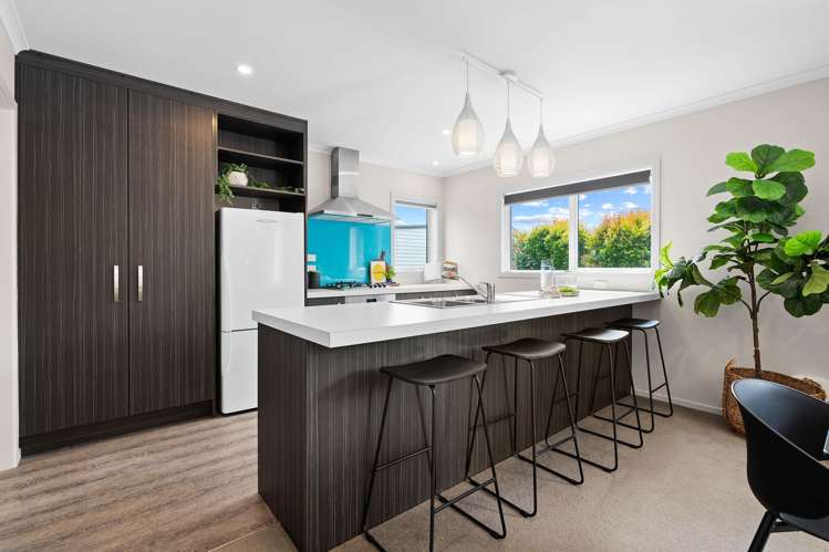 77 Dublin Street Martinborough_2