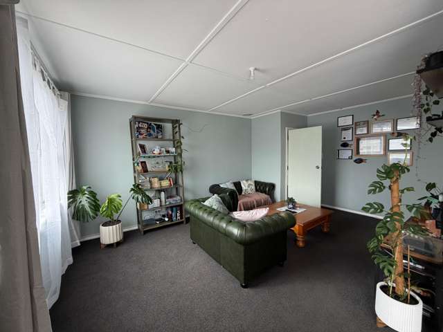  45 Rangiora Avenue Roslyn_2