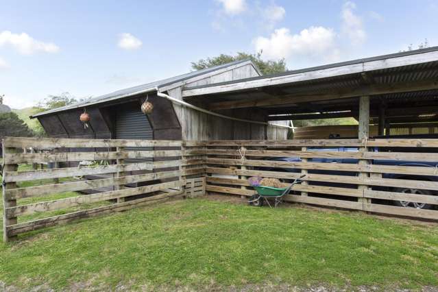 487 Wilson Road, South Head Helensville_4