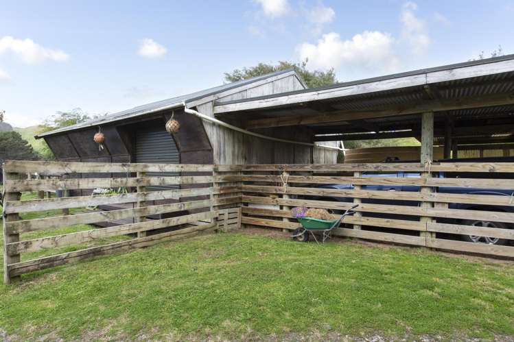 487 Wilson Road, South Head Helensville_11