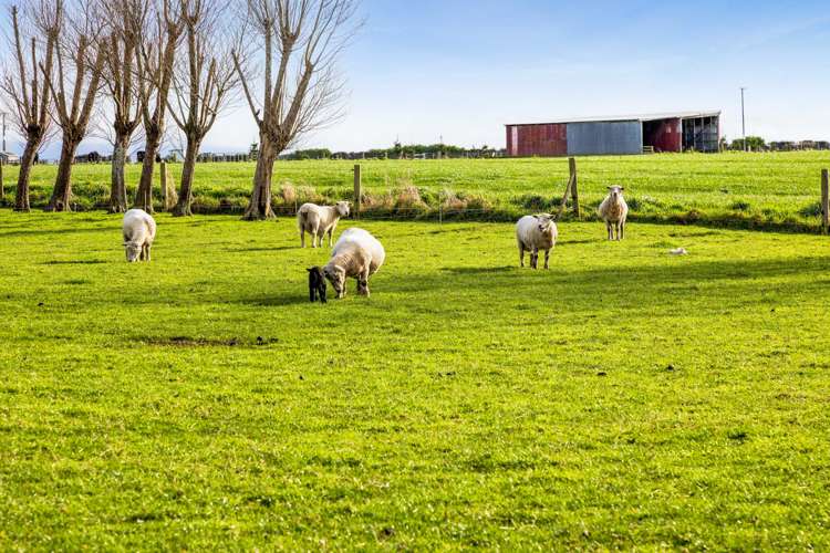 183 Boylan Road Hawera_25