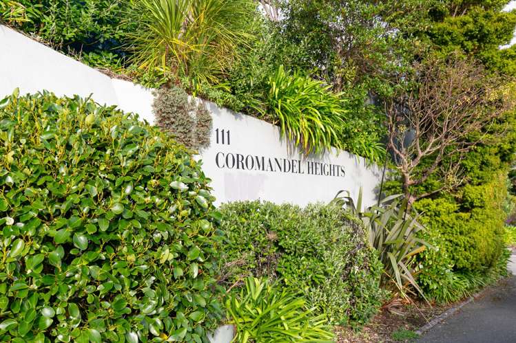 3/111 Coromandel Street Newtown_4