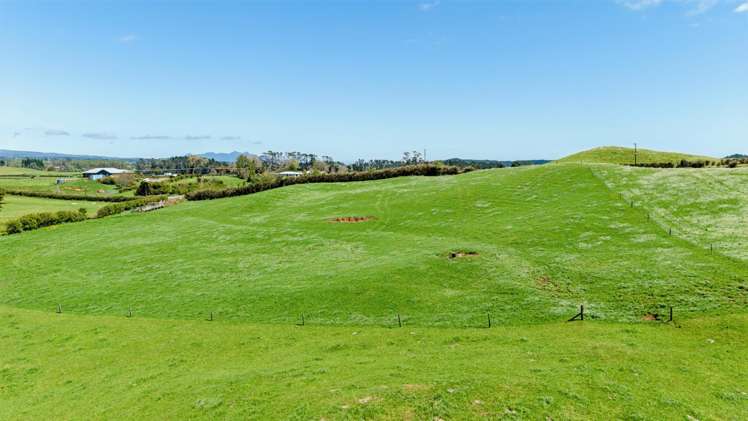 279 Upland Road Inglewood_15