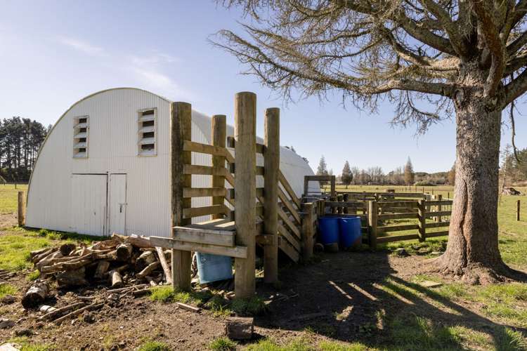 1255 Braemar Road Whakatane_26