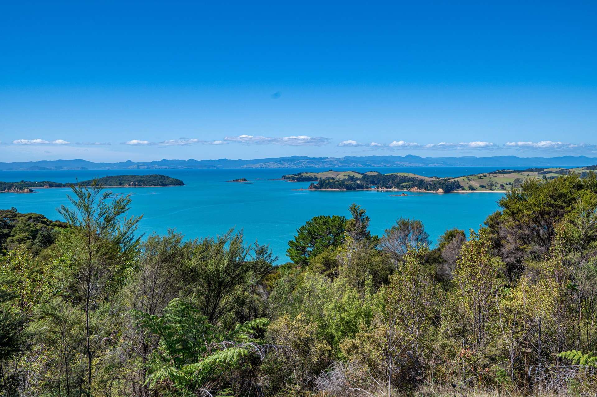 143 Cowes Bay Road Waiheke Island_0