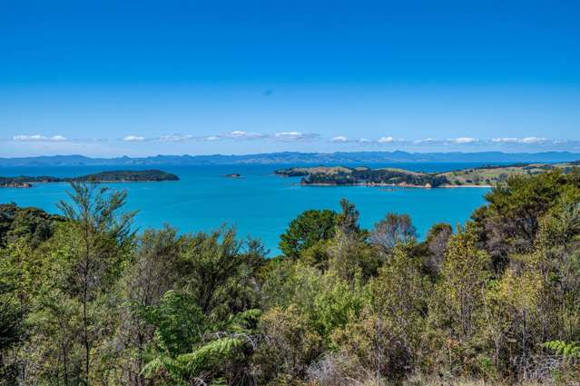 Rich reservoir of native bush, forest and wildlife