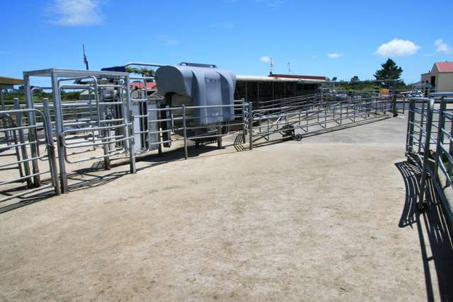 50 Bedford Road North Inglewood_4