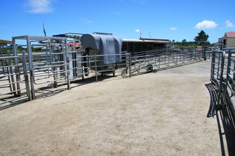 50 Bedford Road North Inglewood_4