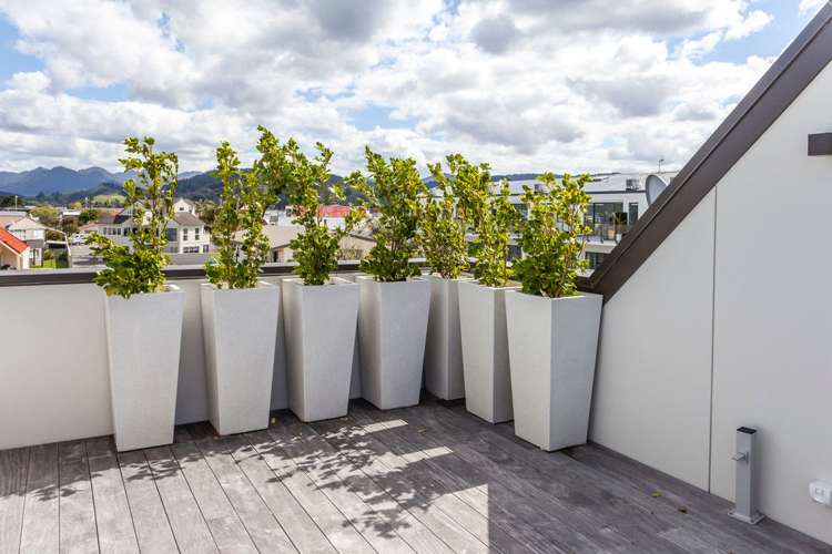 103b Tuck Road Whangamata_39