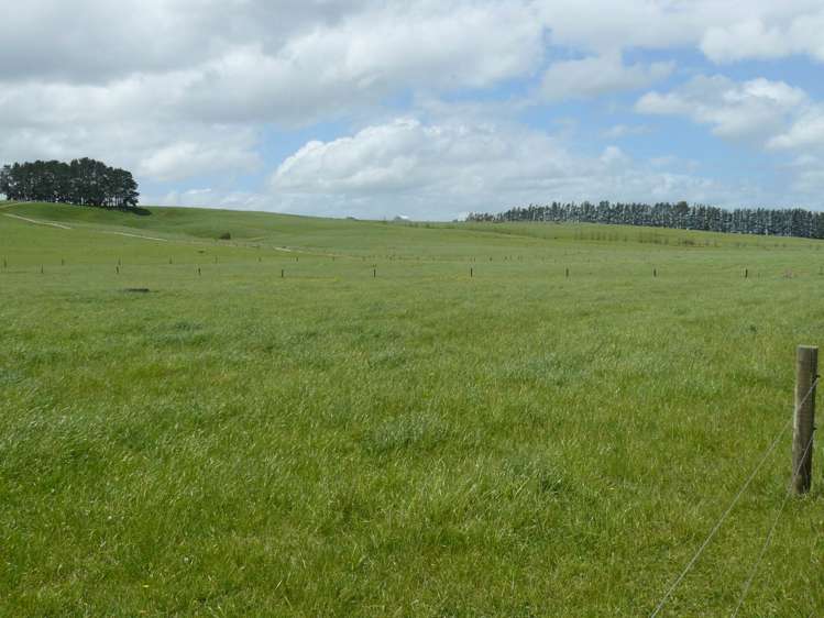 619 Rakauwahia Road Kaikohe_28