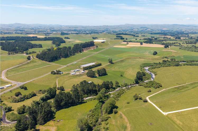 493 Smith Road Dannevirke_10