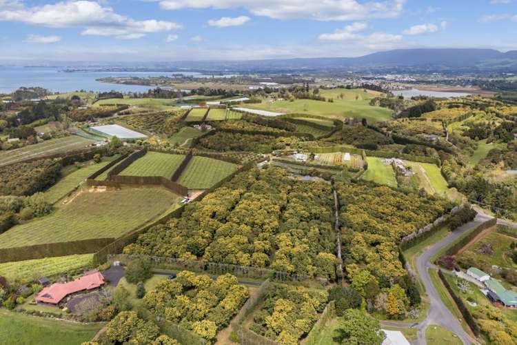 22 Noron Place Katikati_34